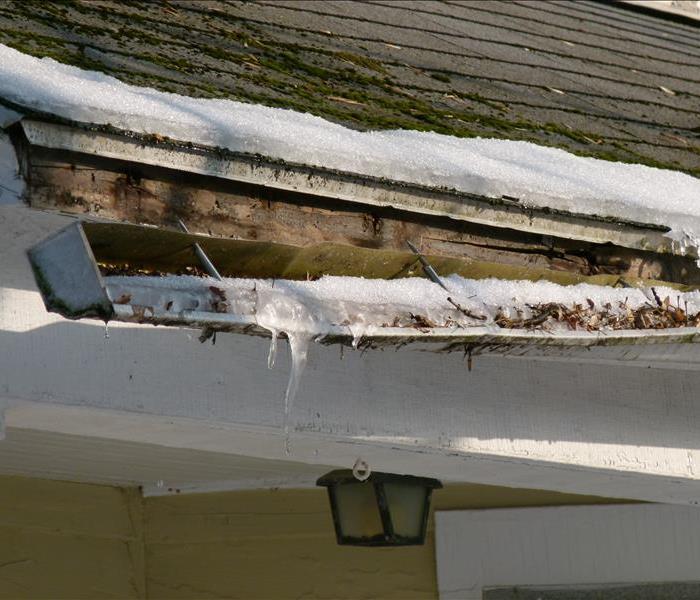 gutters filled with ice and leaves