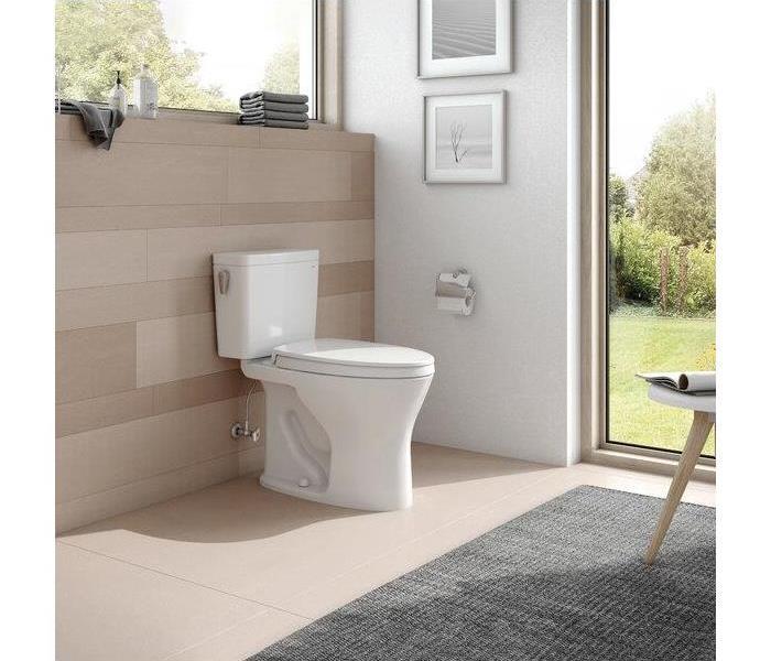 clean bathroom with a grey rug and a white toilet